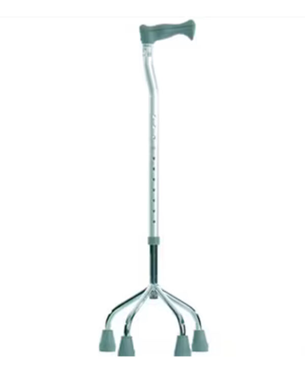 Canne quadripode – Image 4
